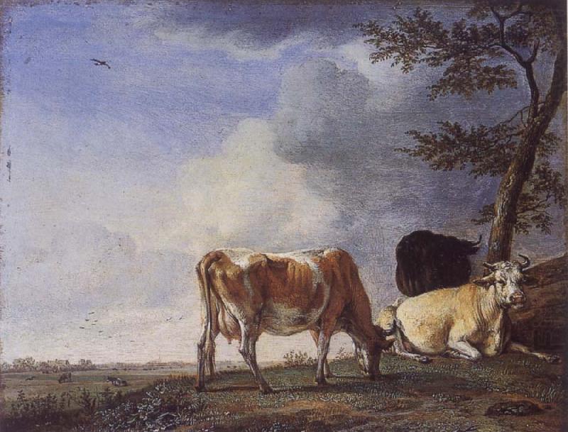 POTTER, Paulus Three Cows in a Pasture china oil painting image